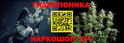 ПСИЛОЦИБИНОВЫЕ ГРИБЫ Гусиноозёрск
